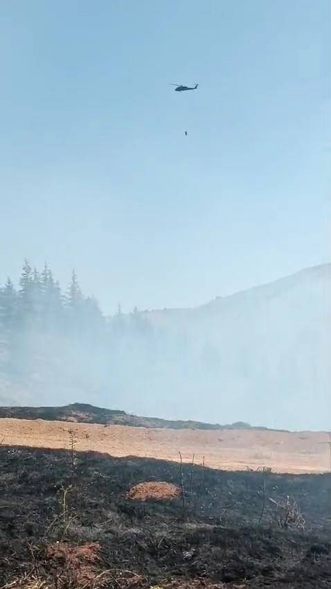 Elazığ'da orman yangını - Resim: 20